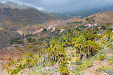 Landschaft auf Gran Canaria im Sommer