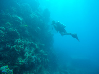 Fototapeta na wymiar Great barrier reef, Australia