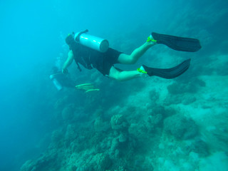 Great barrier reef, Australia