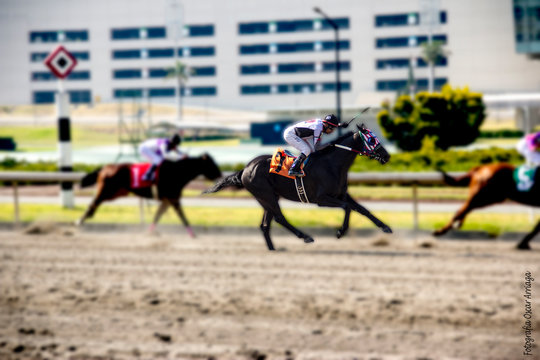 Caballos
