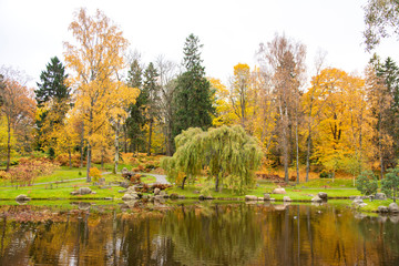 View of Japanese garden in Kadriorg park, Tallinn, Estonia