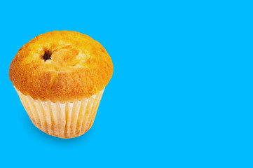 Whole baked muffin without cream in paper form on blue background with copy space for your text