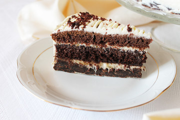 piece of chocolate cake on a plate