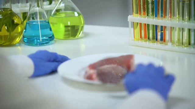 Lab assistant examining meat sample, quality control and gmo food expertise