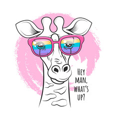 Funny giraffe in a rainbow glasses vector poster and t-shirt design