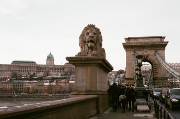 Fototapeta premium Bridge lions Budapest