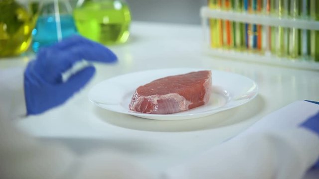 Researcher examining meat sample and writing results, helminthes check-up