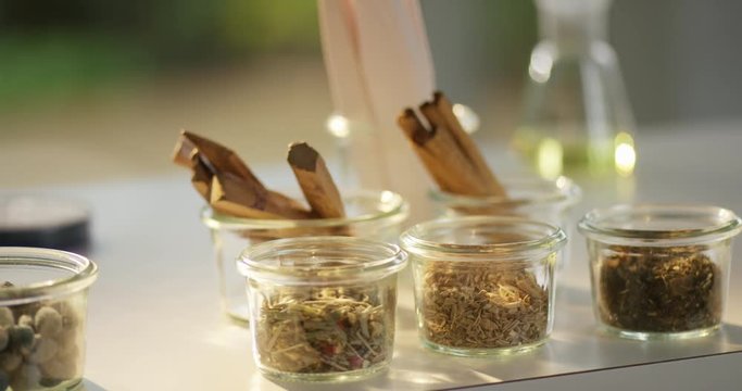 Fragrant collection of wood and spice samples