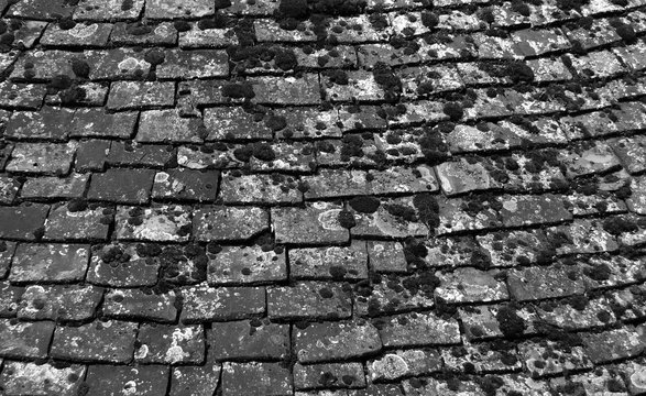 monochrome image of old chipped roof tiles with moss in an overlapping pattern