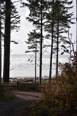 Olympic National Park, Washington state. U.S.A. October 17, 2017. Ruby Beach.
