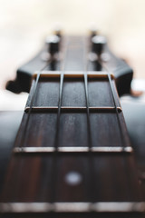 Fototapeta premium Sting Instrument Close Up