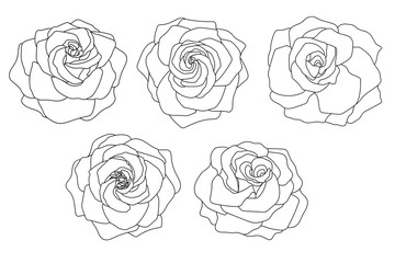 A set of roses. Black line art isolated on white.