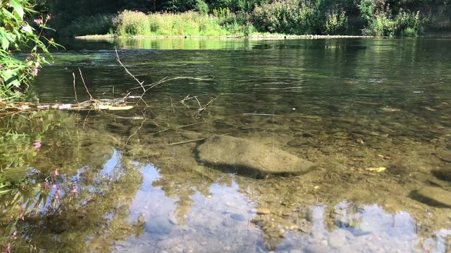 Statische Kamera zeigt die Ruhr am gr&uuml;nen Ufer. Sommer mit Sonnenschein. Echtzeit und Ger&auml;usche. Gr&uuml;ne Landschaft mit B&uuml;schen und B&auml;umen. Das Wasser str&ouml;mt vorbei