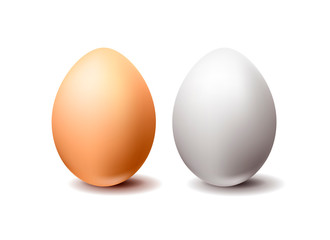 White and brown chicken eggs on white background