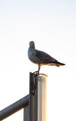 Nature background places and texture