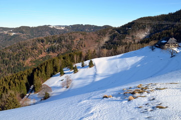 Verschneite Hügel im Schwarzwald