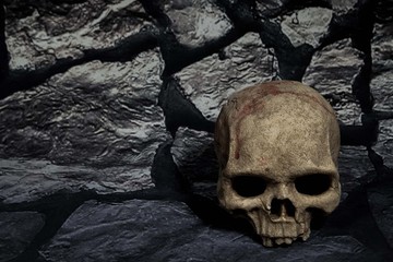 human skull to side of stone background