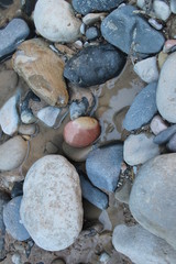 pebbles