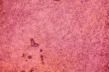 abstract colorful grunge background. The texture of the wall of decorative stucco. modern and fashionable clothes for walls