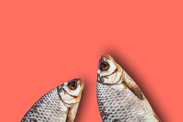 Two dried salted fishes on table of living coral color with copy space for your text. Top view