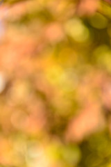 Abstract background with bokeh