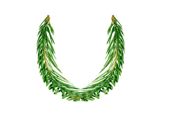 English letter U from fir-tree branches