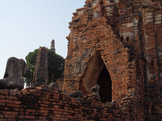 Fototapeta premium アユタヤの風景