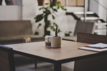 Table in cafe with cactus and menus