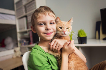 cute boy 8 years old feeds beautiful red tabby big cat with grass