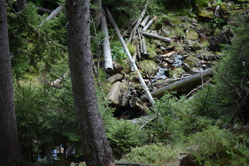 Górskie krajobrazy © Monika