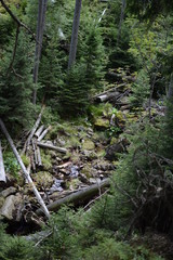 Górskie krajobrazy © Monika