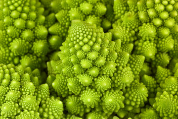 Close up of interesting shape roman cauliflower (Brassica oleracera)