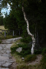 Górskie krajobrazy © Monika