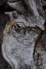 Górskie krajobrazy © Monika