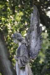 gravestone at municipal cemetery in Amsterdam, The Netherlands