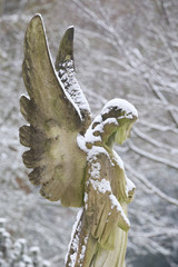 statue of angel covered with snow at municipal cemetery in Amsterdam, The Netherlands
