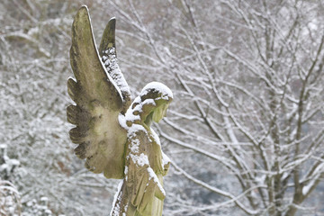 statue of angel covered with snow at municipal cemetery in Amsterdam, The Netherlands
