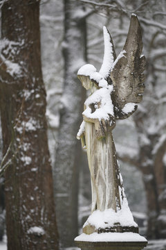 statue of angel covered with snow at municipal cemetery in Amsterdam, The Netherlands