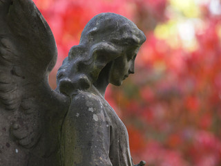 Fototapeta premium side view of statue of angel at municipal cemetery in Amsterdam, The Netherlands