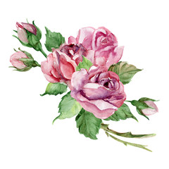 Set of beautiful roses bouquet, buds and leaves, watercolor illustration