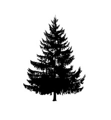 Silhouette of fir. Hand made.