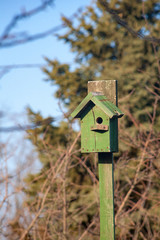birdhouse wooden copyspace home