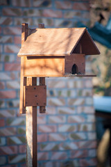 birdhouse wooden copyspace home
