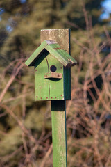 birdhouse wooden copyspace home