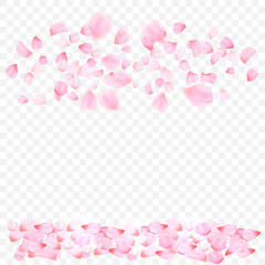 Fototapeta na wymiar pink petals and flowers of cherry blossom isolated on transparent background. Falling blossom background. Vector