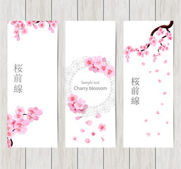 Set of greeting and invitation card with cherry blossom  Spring composition with sakura. Vector illustration