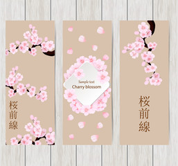 Set of greeting and invitation card with cherry blossom  Spring composition with sakura. Vector illustration