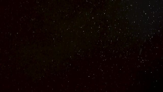 snowflakes falling against the night sky