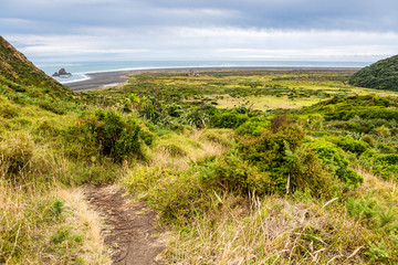 Fototapeta na wymiar New Zealand rainforest, green wilderness and Black Sand Beach close to KereKere Piha, New Zealand
