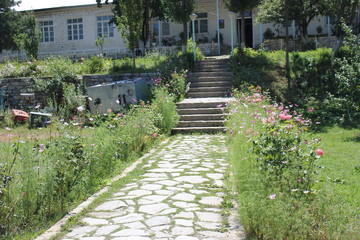 Nature of existance